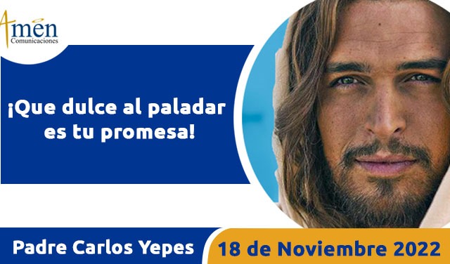 Evangelio de hoy - Padre Carlos Yepes - viernes 18 noviembre 2022