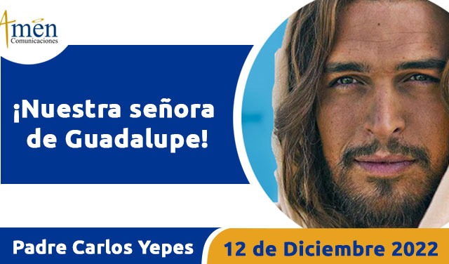 Evangelio de hoy - Padre Carlos Yepes - 12 de diciembre 2022