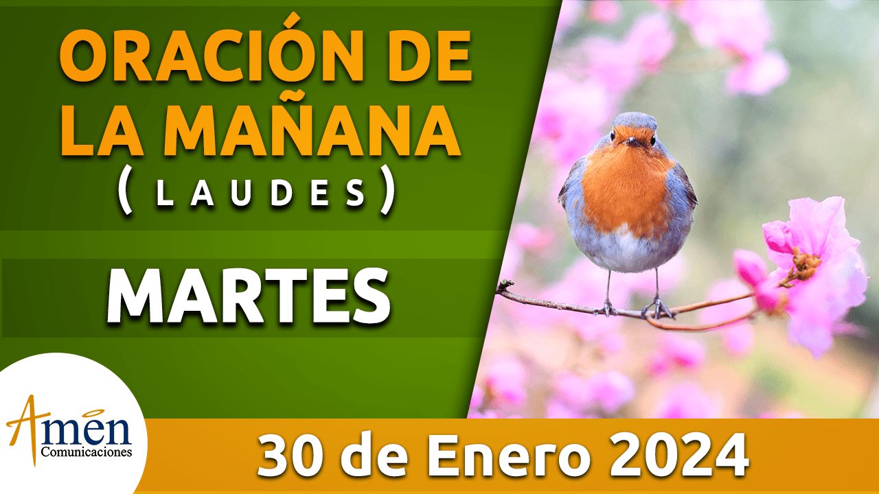 <span class="jet-smart-filters-seo-rules-title"></span>