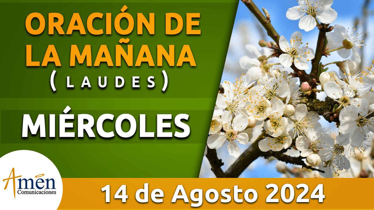 Oración de la mañana - 14 agosto 2024 - padre carlos yepes