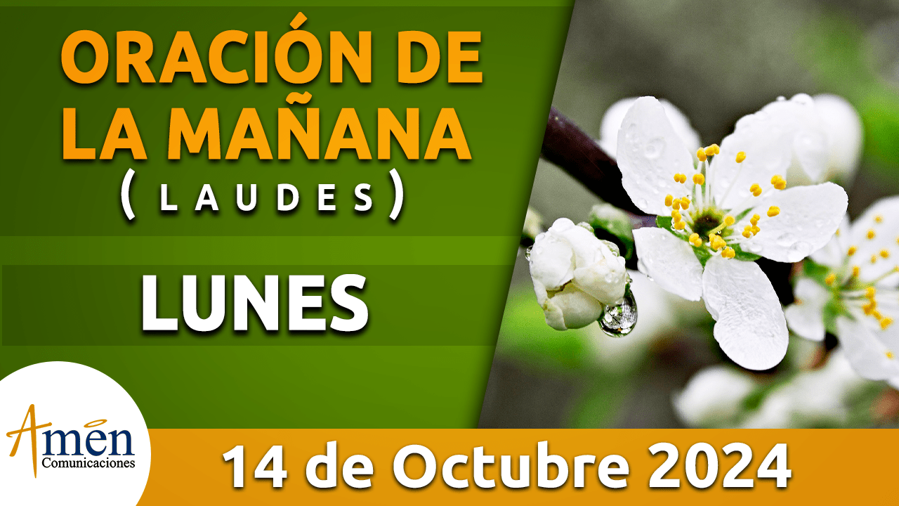 Oración de la mañana - 14 octubre 2024 - padre carlos yepes