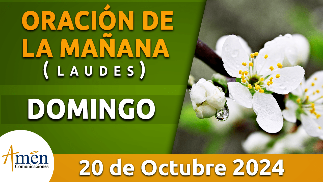 Oración de la mañana - 20 octubre 2024 - padre carlos yepes