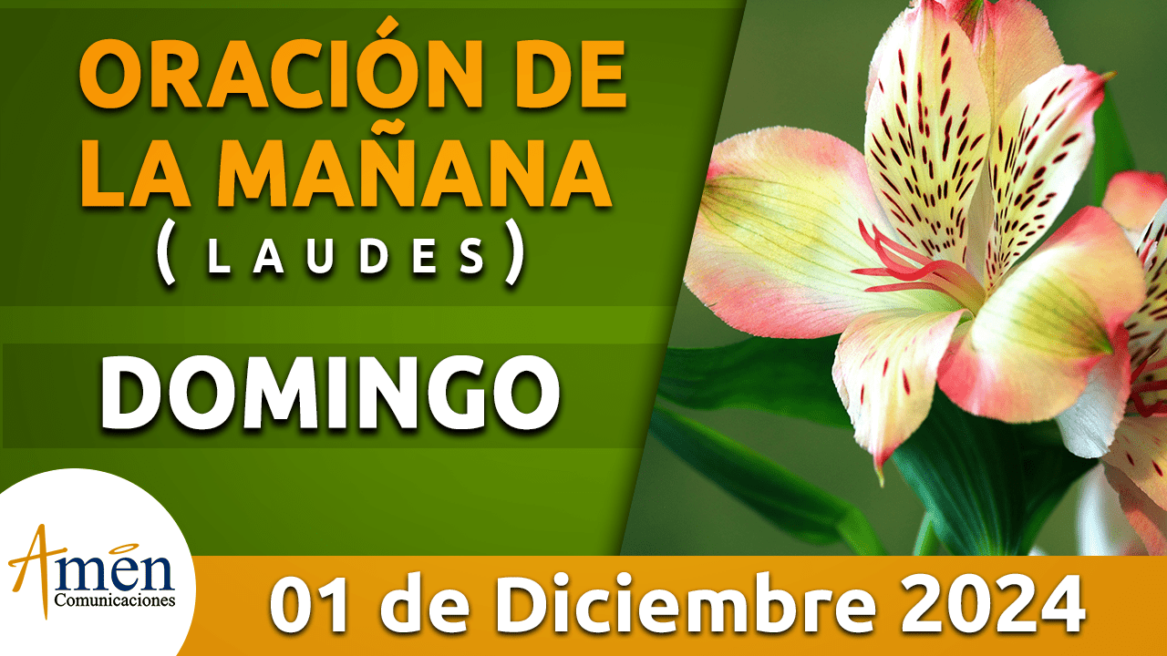 Oración de la mañana - 1 diciembre 2024 - padre carlos yepes