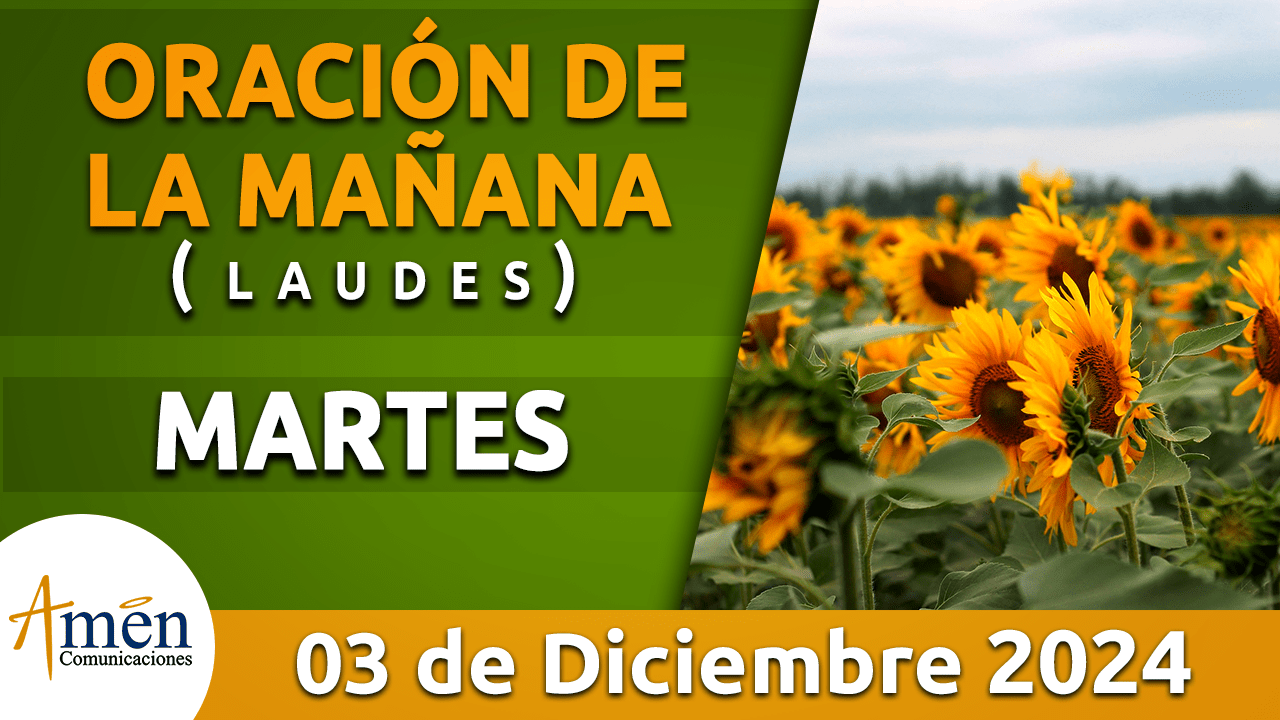 Oración de la mañana - 3 diciembre 2024 - padre carlos yepes