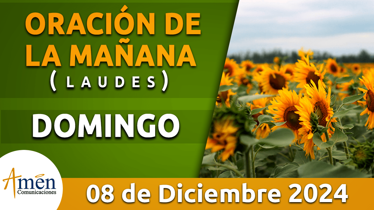 Oración de la mañana - 8 diciembre 2024 - padre carlos yepes