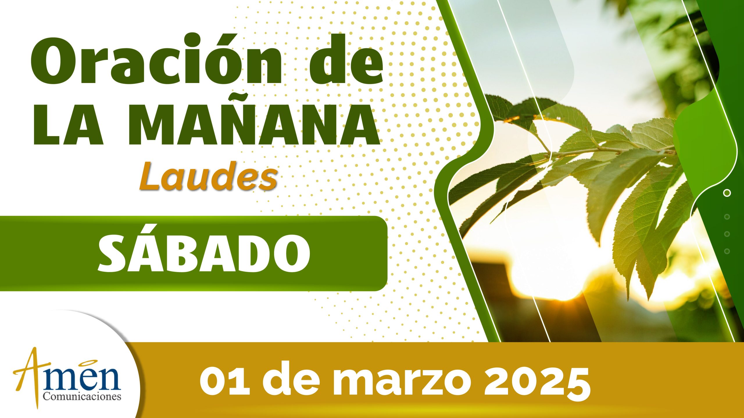 Oración de la mañana - 1 marzo 2025 - padre carlos yepes