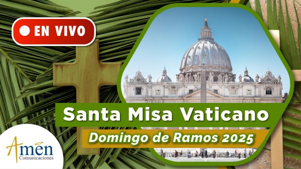 misa domingo de ramos vaticano - semana santa 2025 