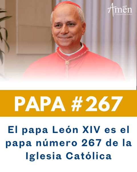 El papa León es el numero 267