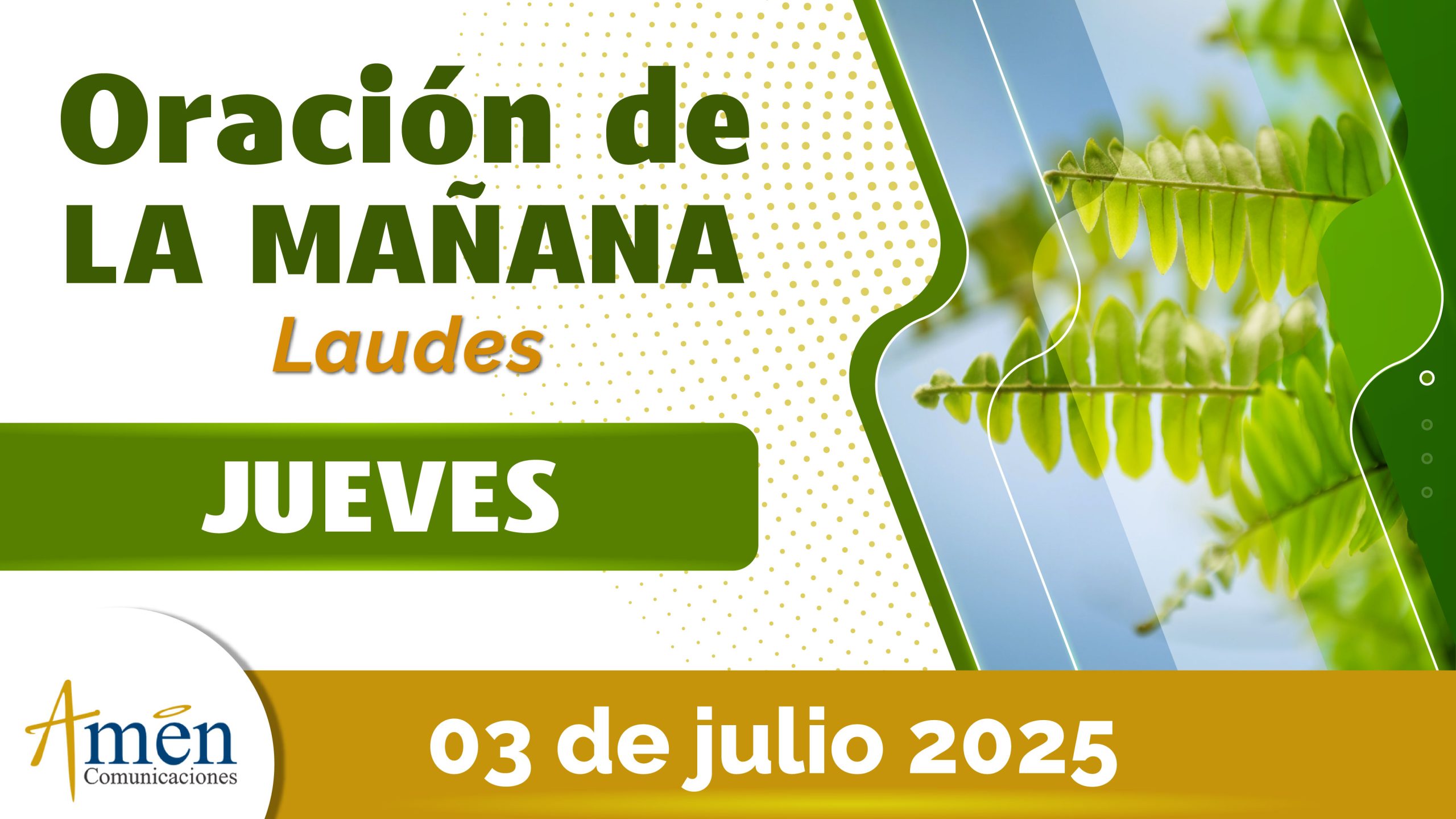 Oración de la mañana - 3 julio 2025 - padre carlos yepes