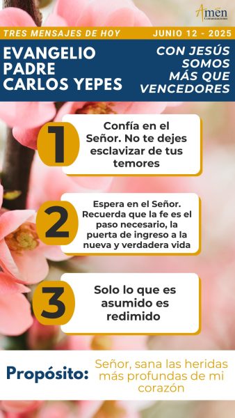 Mensajes del evangelio, evangelio padre carlos yepes, misa padre carlos yepes, homilia padre carñps yepes, junio 12 2025