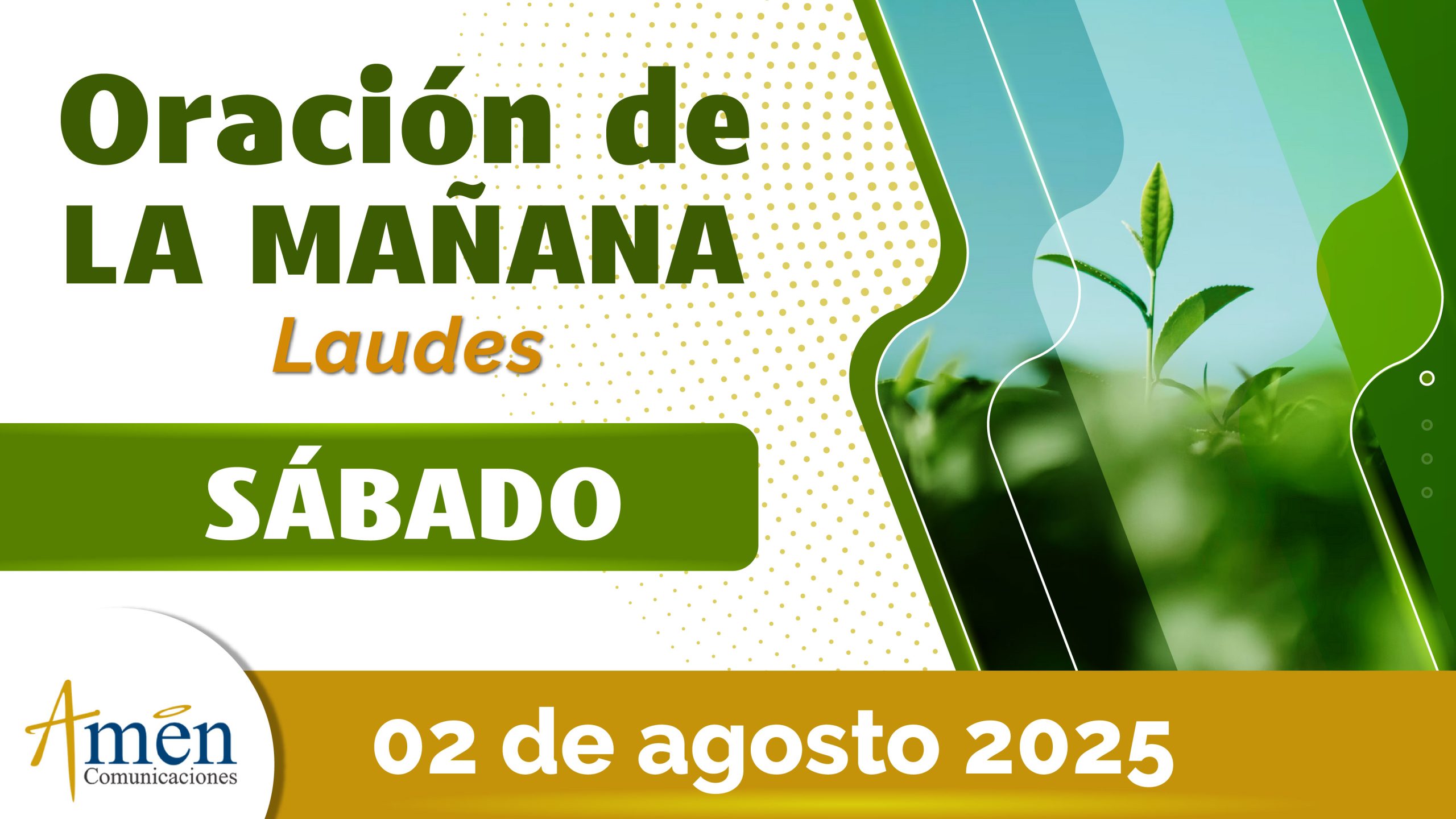 Oración de la mañana - 2 agosto 2025 - padre carlos yepes
