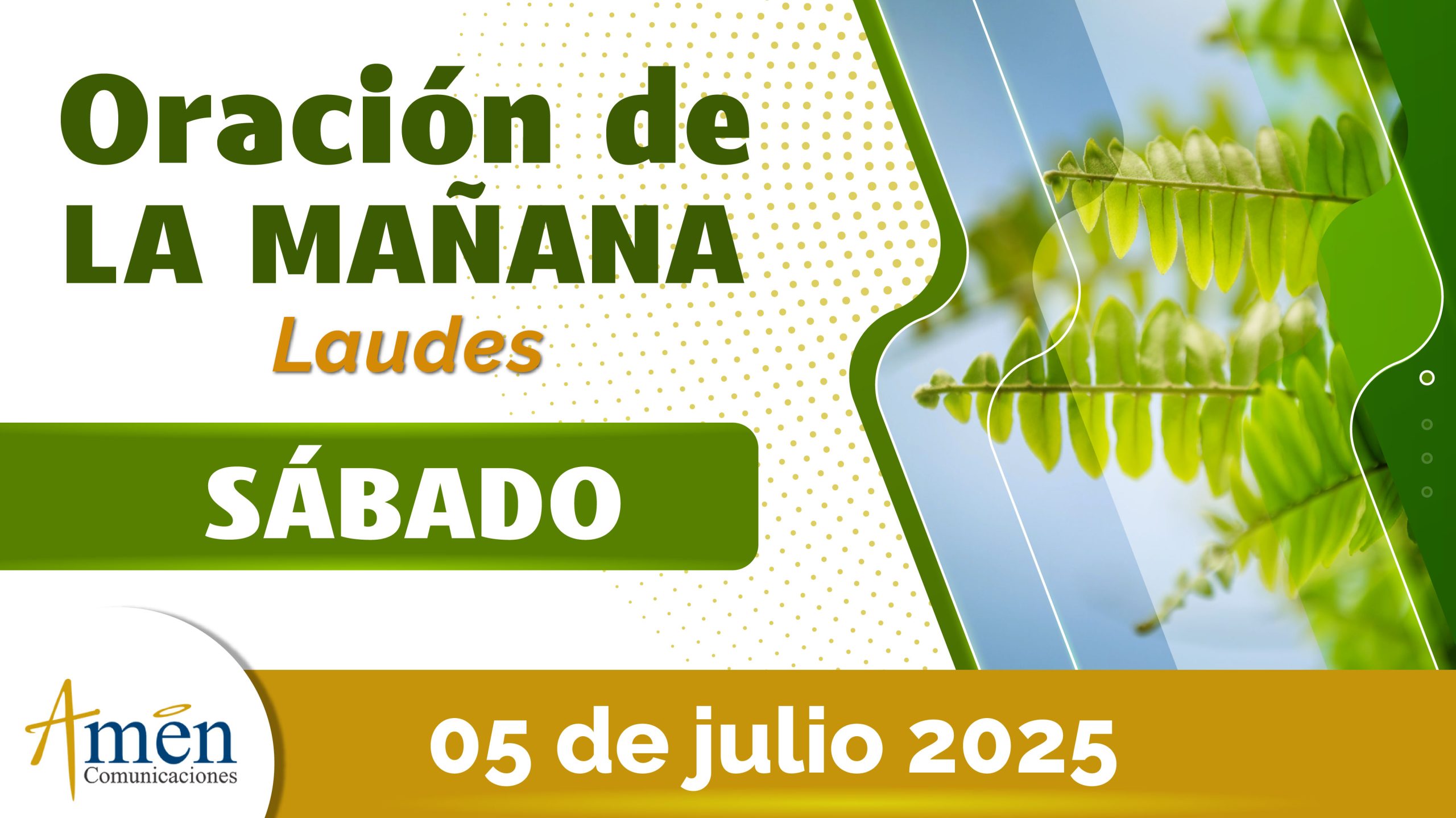 Oración de la mañana - 5 julio 2025 - padre carlos yepes