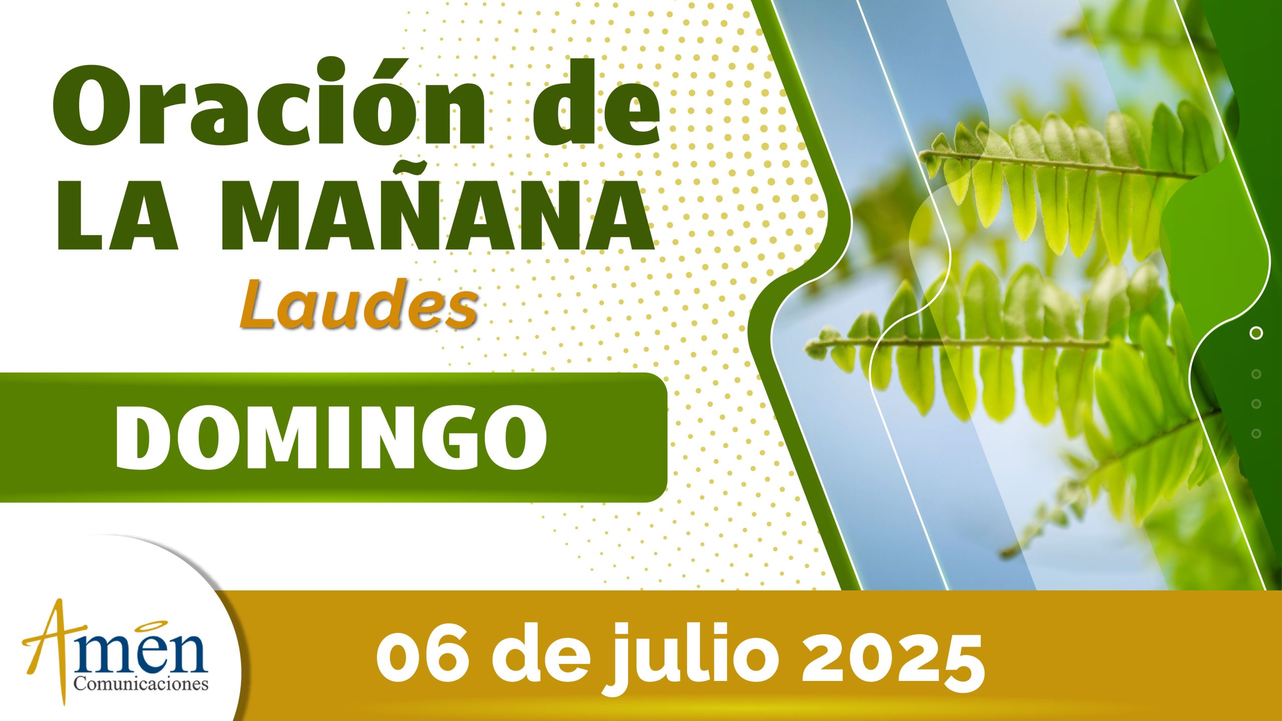 Oración de la mañana - 6 julio 2025 - padre carlos yepes