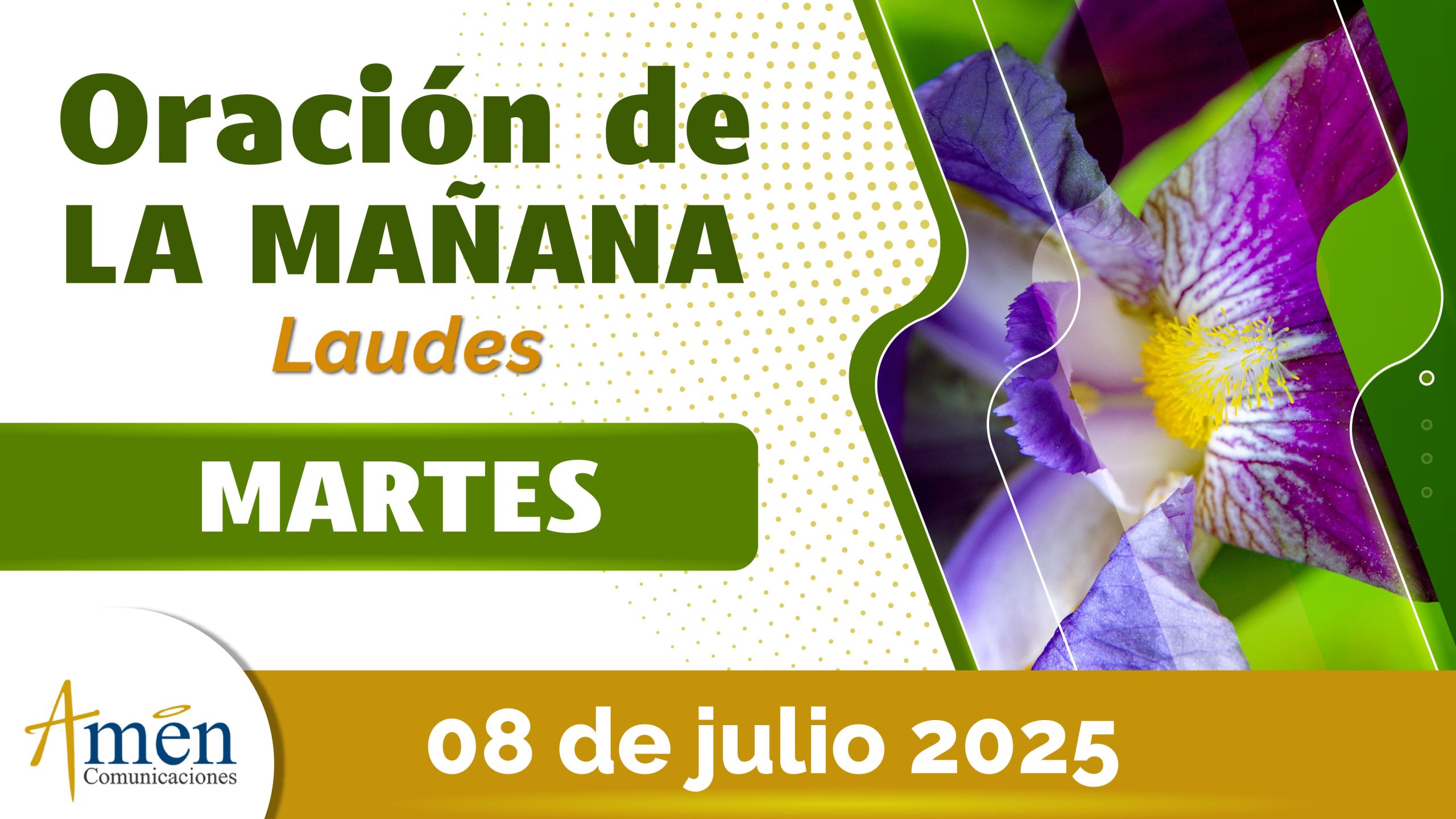 Oración de la mañana - 8 julio 2025 - padre carlos yepes