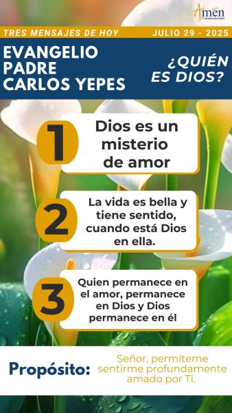 mensajes del evangelio - 29 julio 2025 - padre carlos yepes 