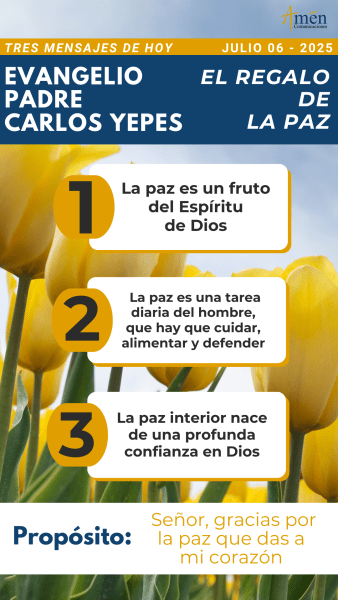 tres mensajes del evangelio, padre carlos yepes - 6 julio 2025