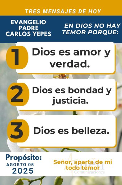Evangelio 5 de agosto 2025 - padre carlos yepes