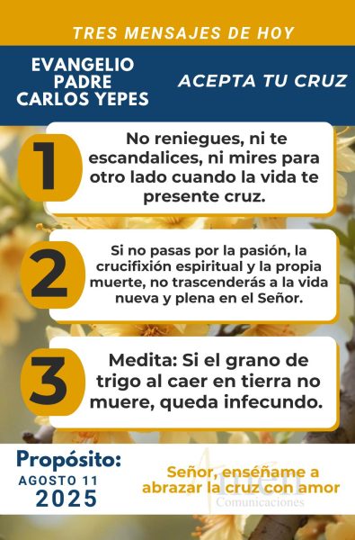 tres mensajes del Evangelio 11 de agosto 2025 - padre carlos yepes