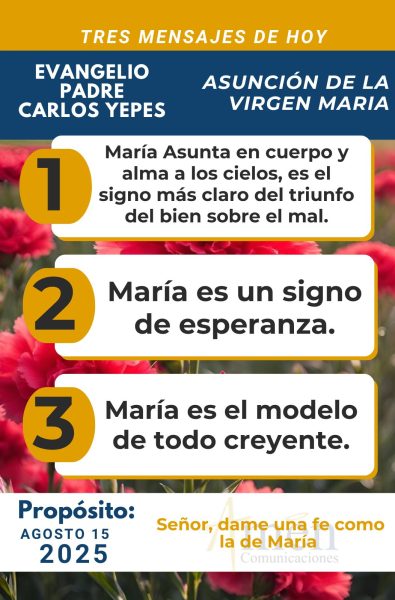 Evangelio 15 de agosto 2025 - padre carlos yepes
