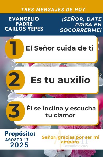Evangelio 17 de agosto 2025 - padre carlos yepes