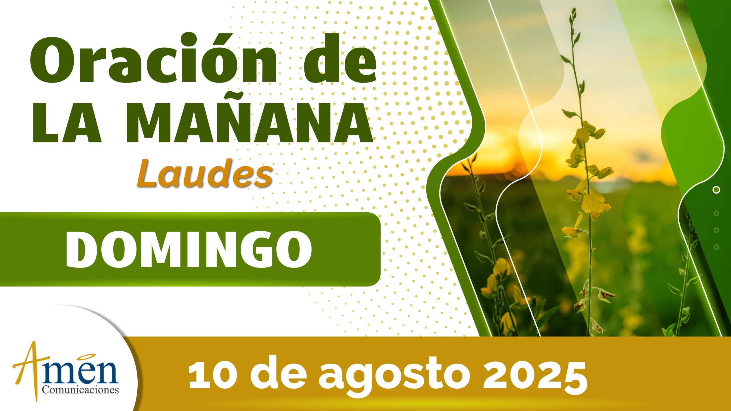 Oración de la mañana - 10 agosto 2025 - padre carlos yepes