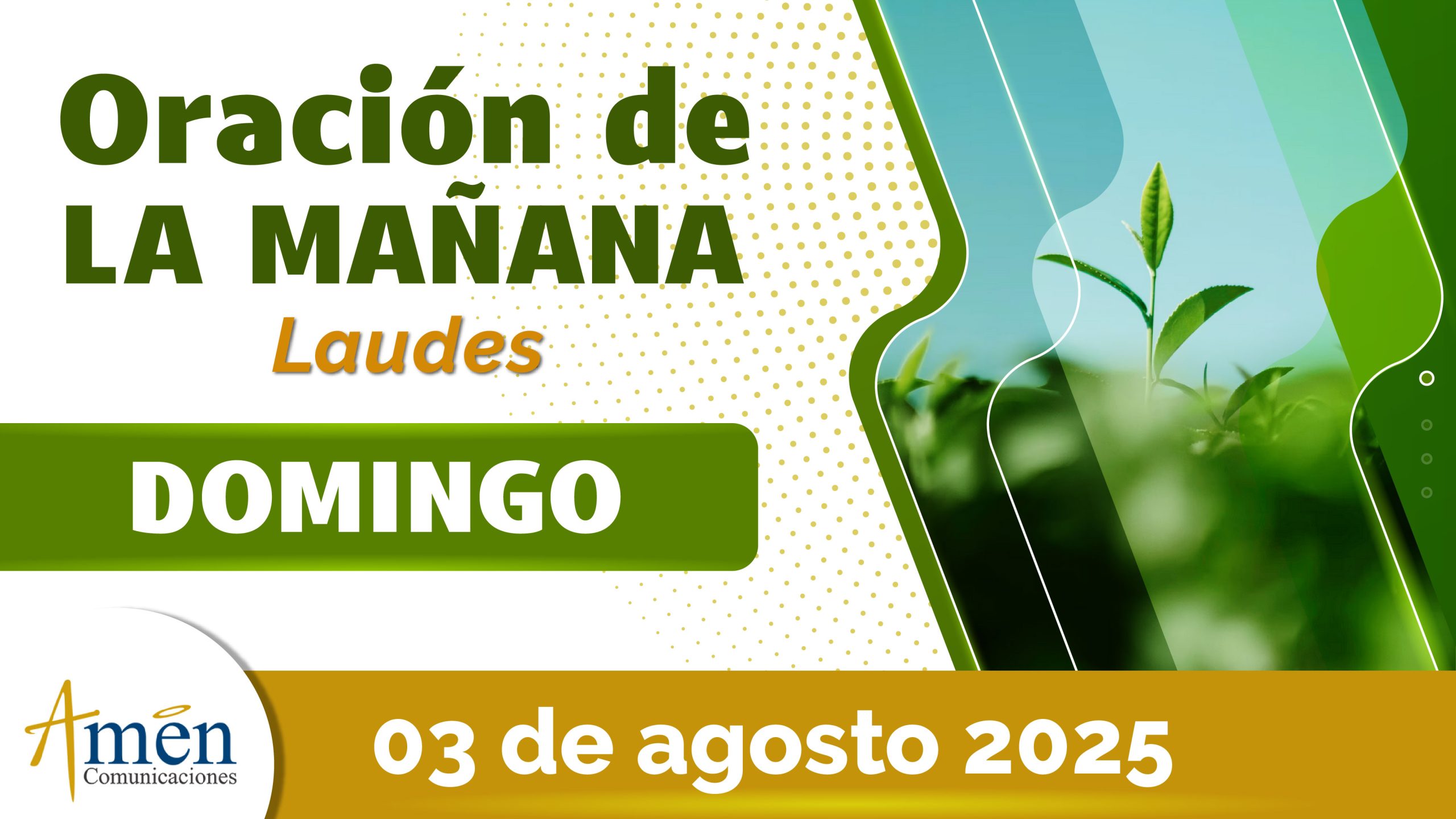 Oración de la mañana - 3 agosto 2025 - padre carlos yepes
