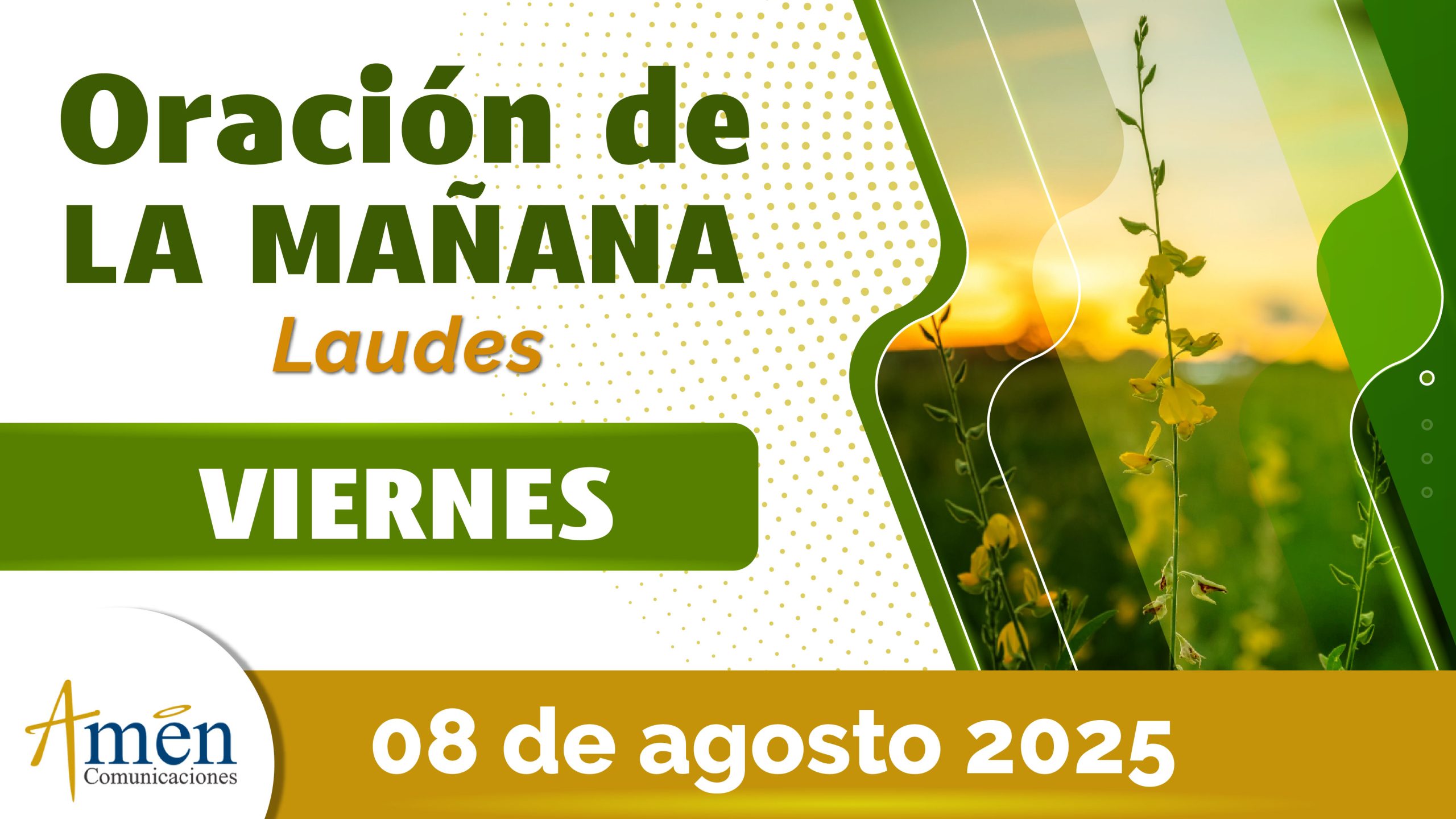 Oración de la mañana - 8 agosto 2025 - padre carlos yepes