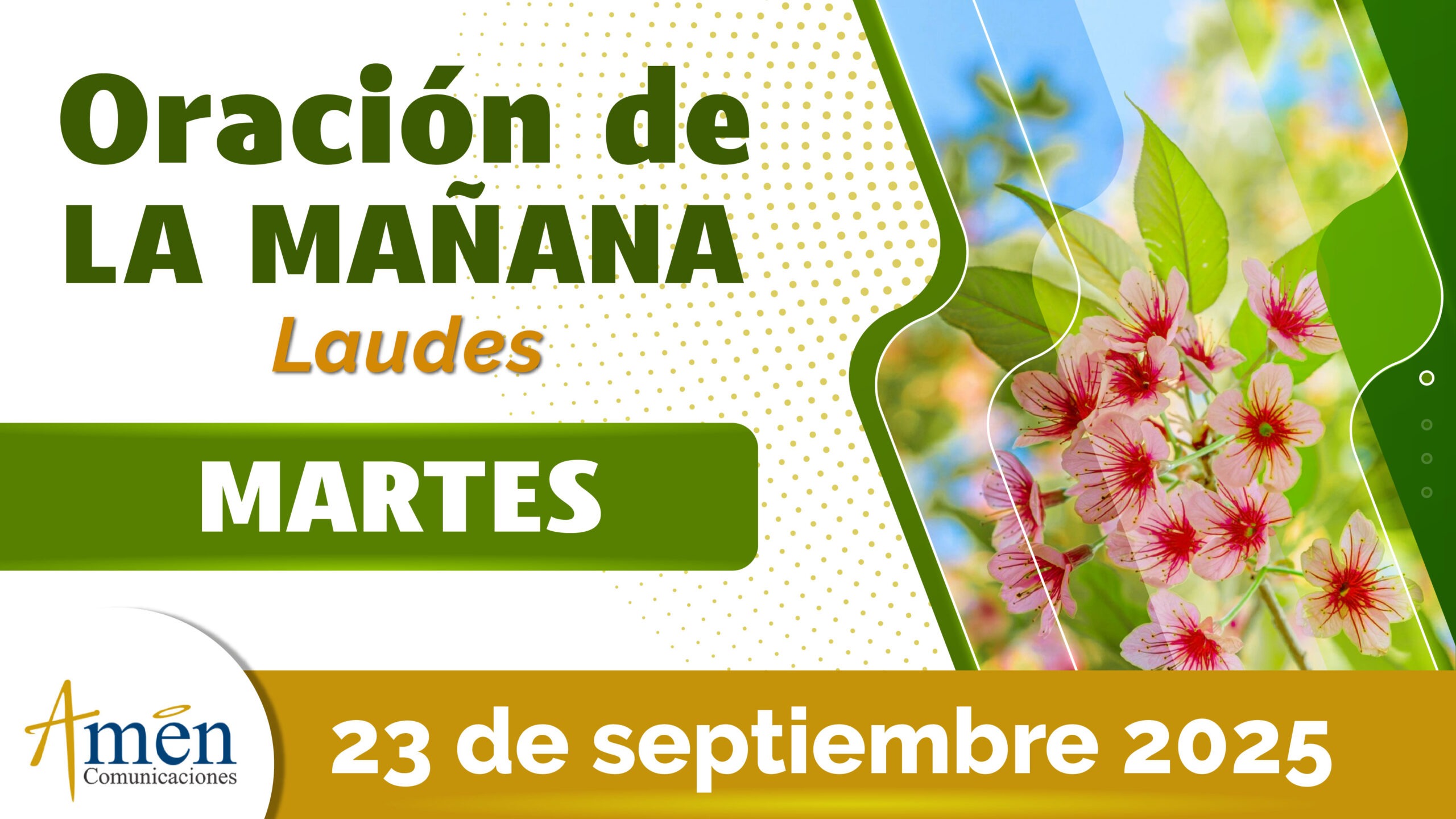 Oración de la mañana - 23 septiembre 2025 - padre carlos yepes