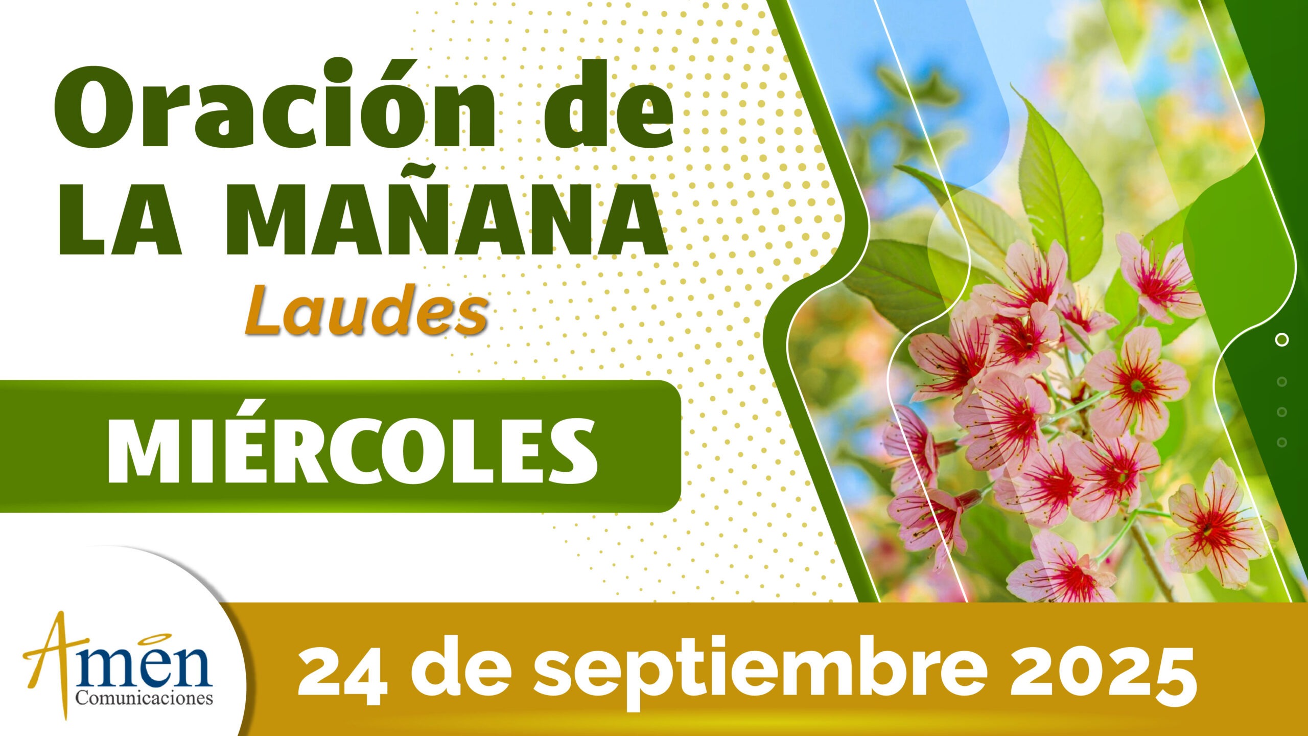 Oración de la mañana - 24 septiembre 2025 - padre carlos yepes