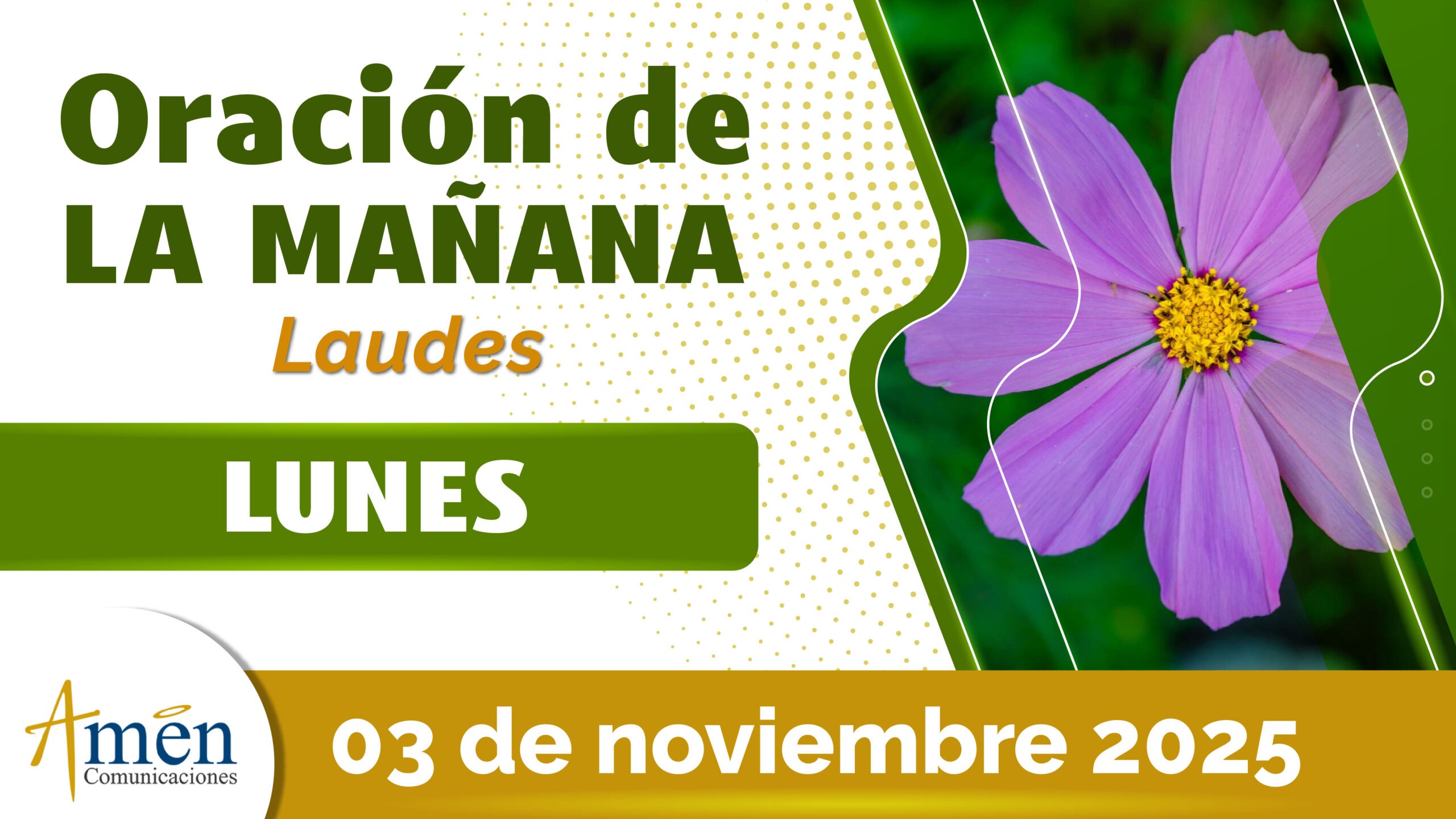 Oración de la mañana - 3 noviembre 2025 - padre carlos yepes
