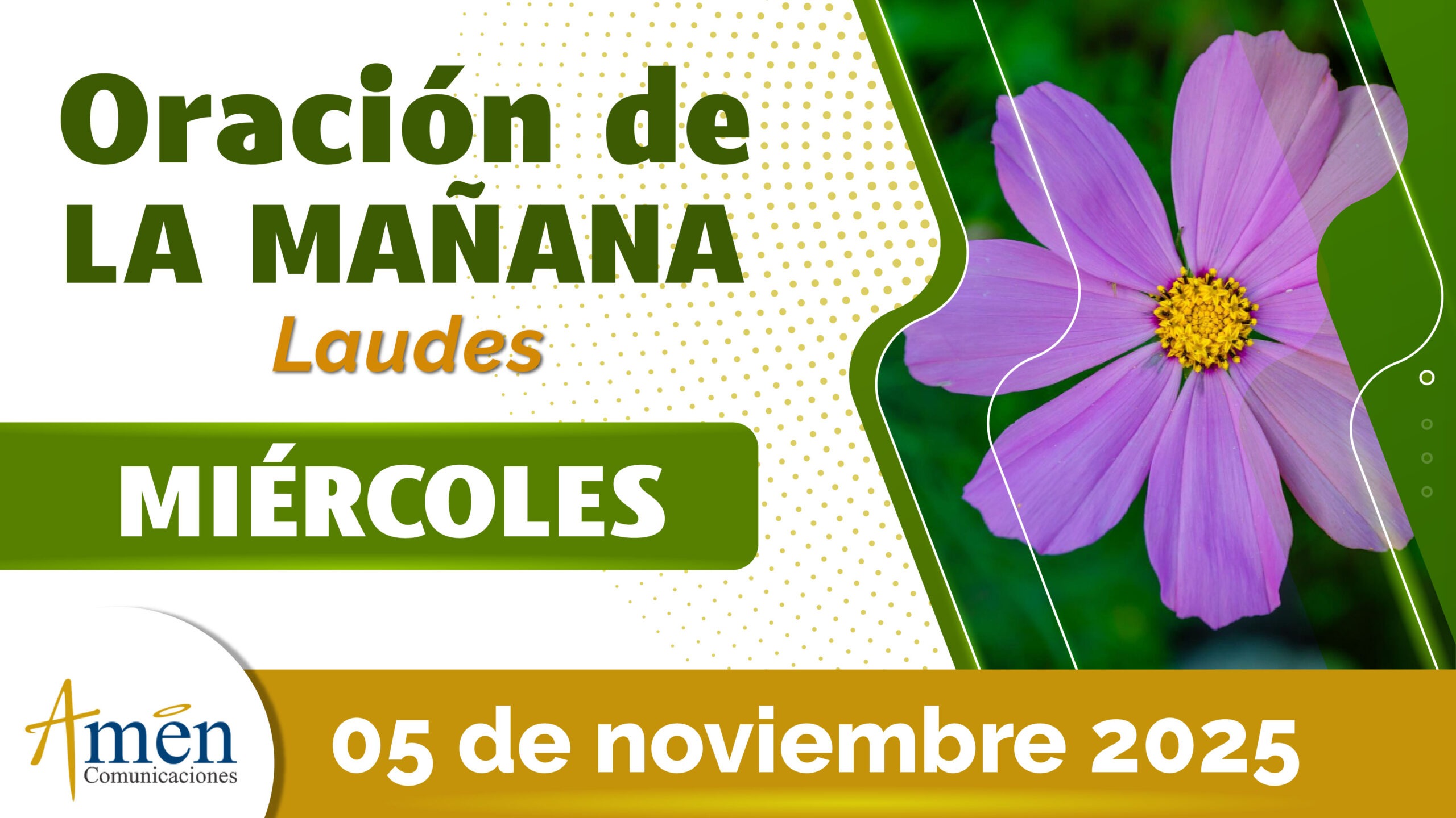 Oración de la mañana - 5 noviembre 2025 - padre carlos yepes