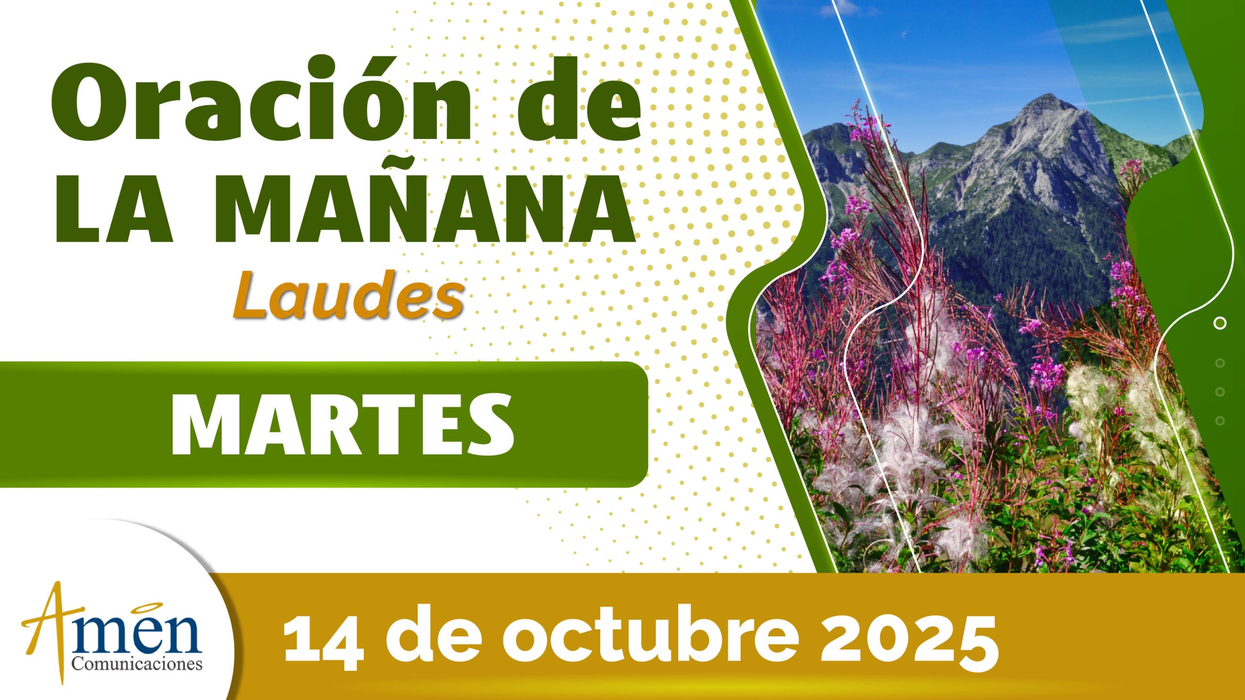 Oración de la mañana - 14 octubre 2025 - padre carlos yepes