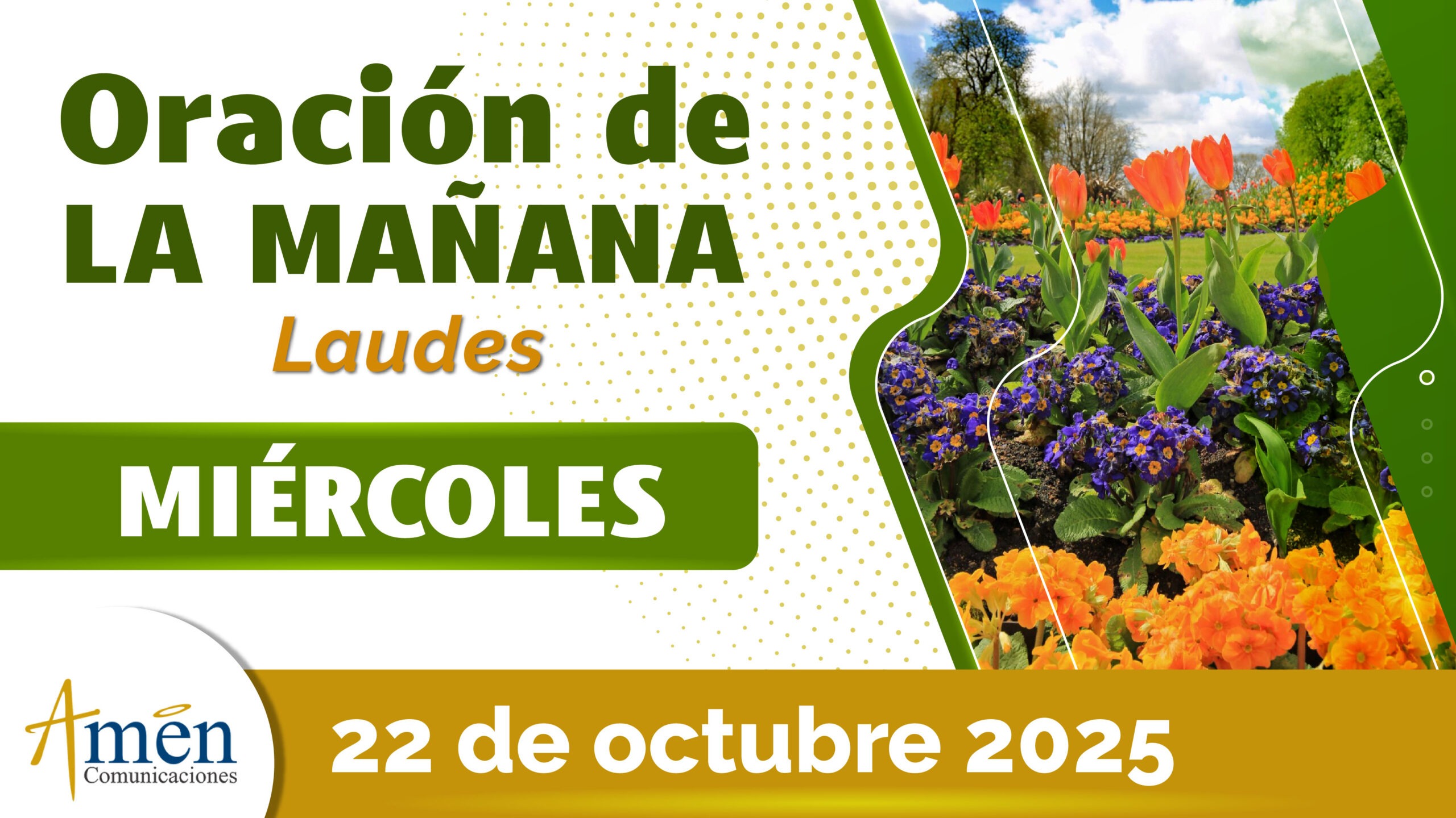 Oración de la mañana - 22 octubre 2025 - padre carlos yepes