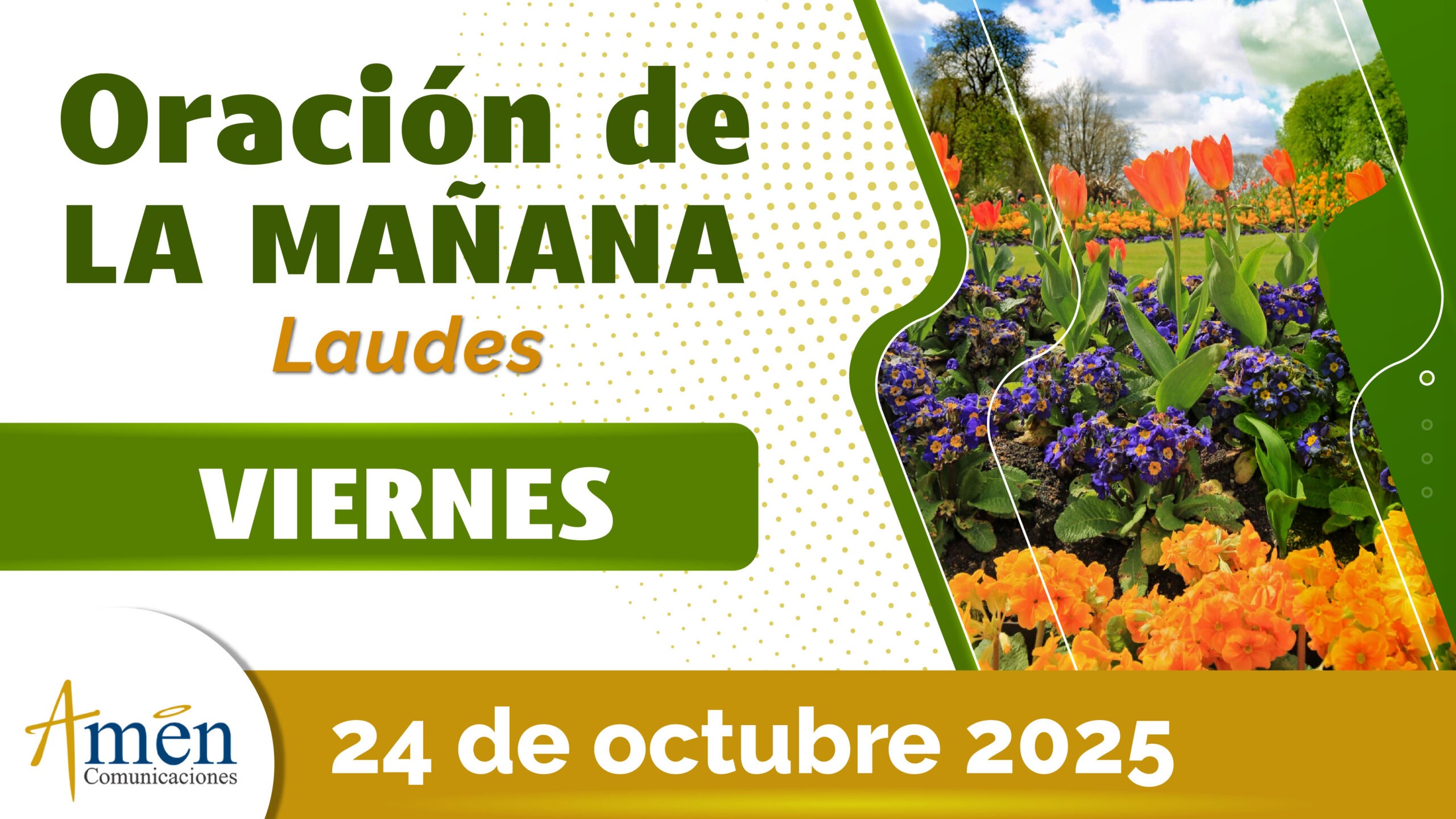 Oración de la mañana - 24 octubre 2025 - padre carlos yepes