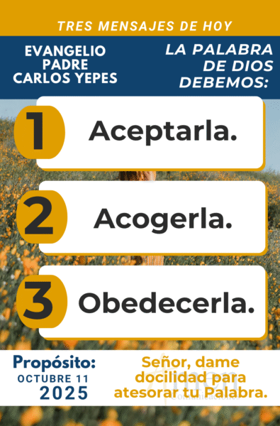 tres mensajes del evangelio - 11 de octubre 2025