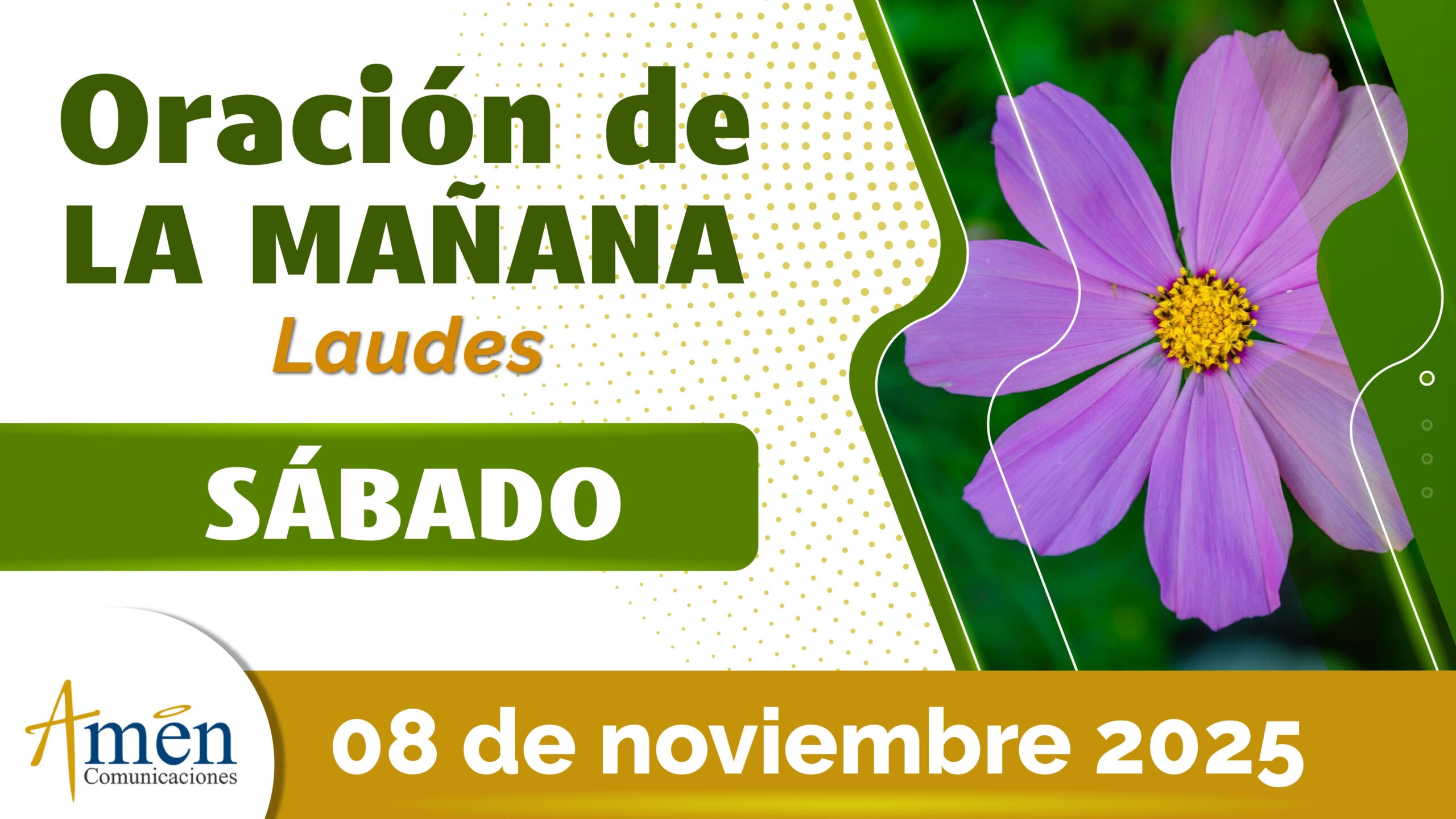 Oración de la mañana - 8 noviembre 2025 - padre carlos yepes