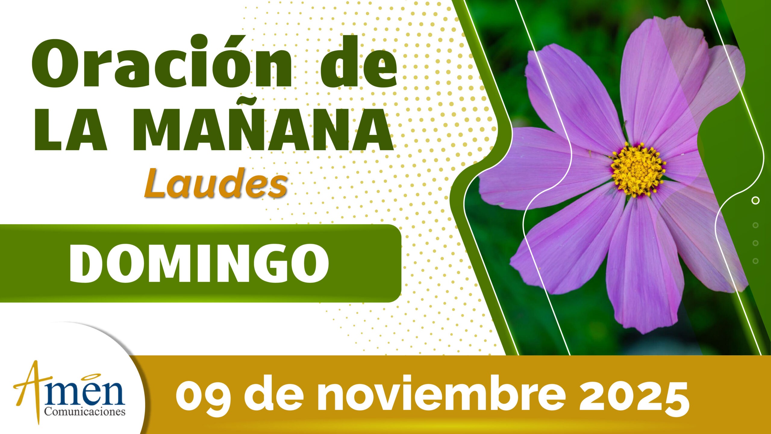 Oración de la mañana - 9 noviembre 2025 - padre carlos yepes