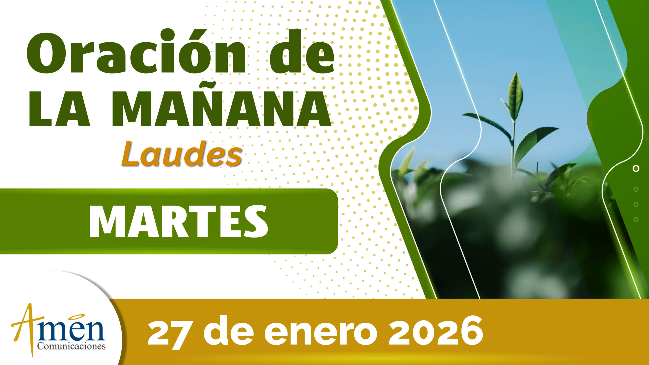 <span class="jet-smart-filters-seo-rules-title"></span>