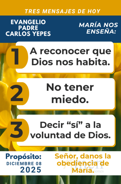 tres mensajes del evangelio - 8 de diciembre 2025