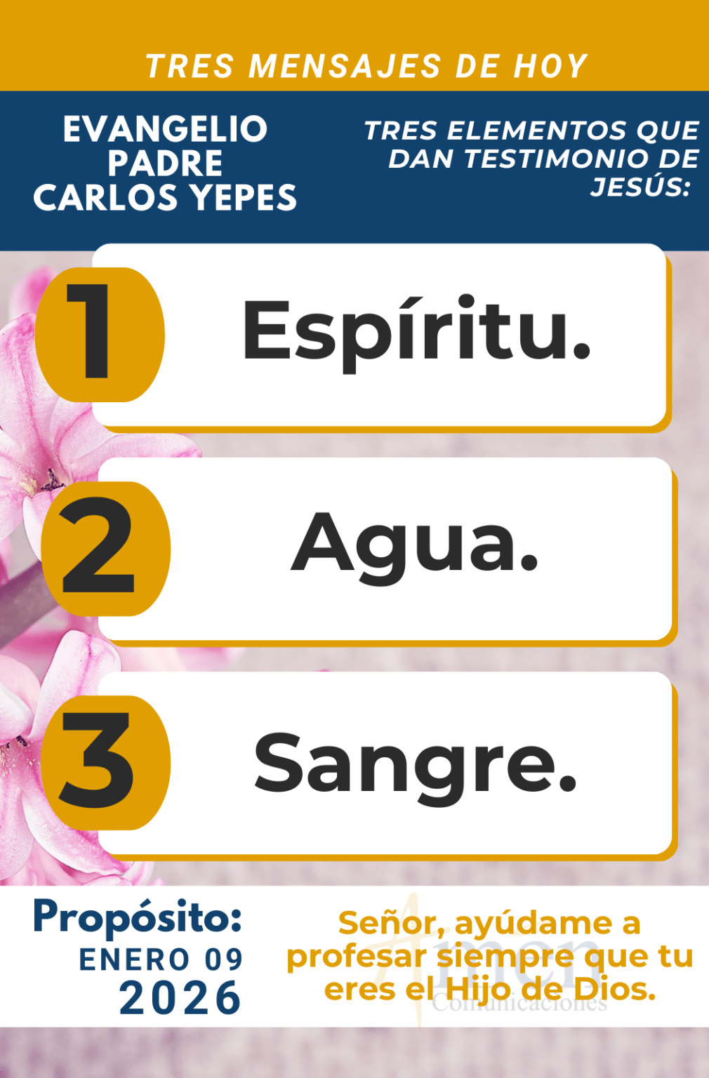 Evangelio de Hoy 9 de enero 2026 | Padre Carlos Yepes