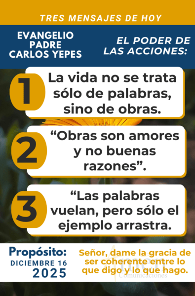 Evangelio 16 de diciembre 2025 - padre carlos yepes