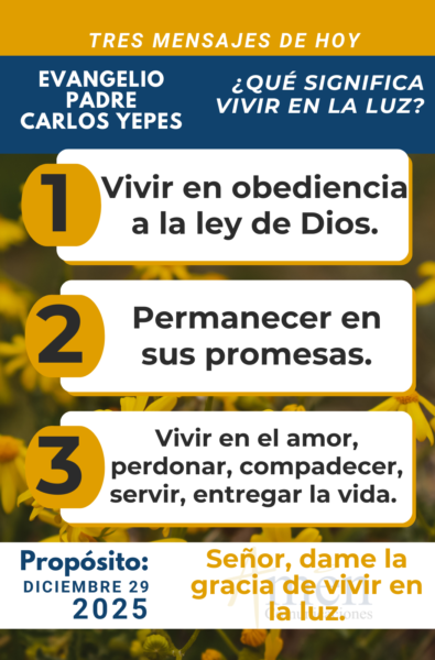 tres mensajes del evangelio 29 de diciembre 2025 - padre carlos yepes