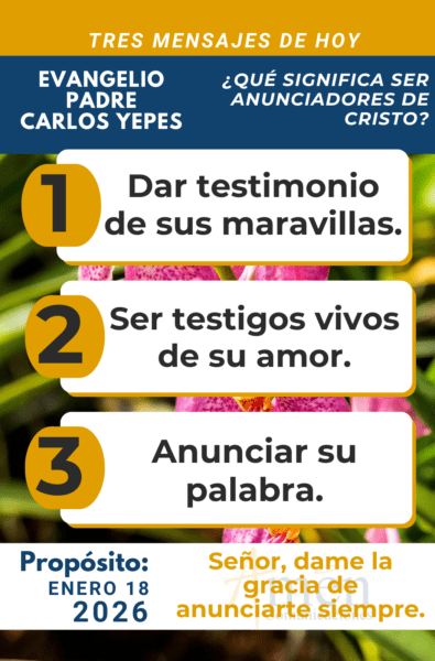 tres mensajes del evangelio 18 de enero 2026 - padre carlos yepes