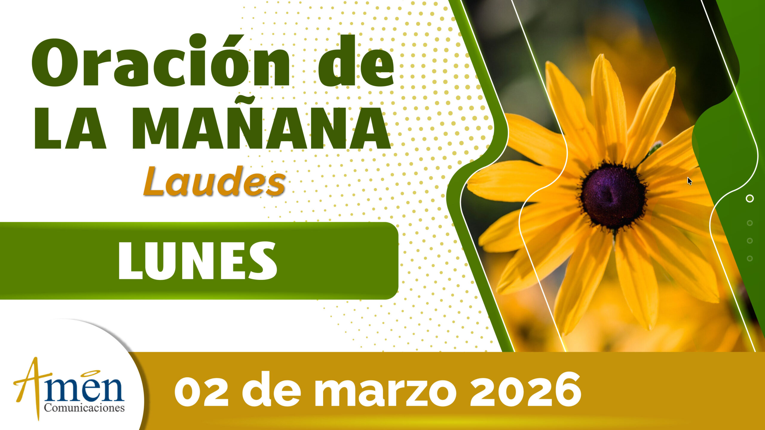 <span class="jet-smart-filters-seo-rules-title"></span>