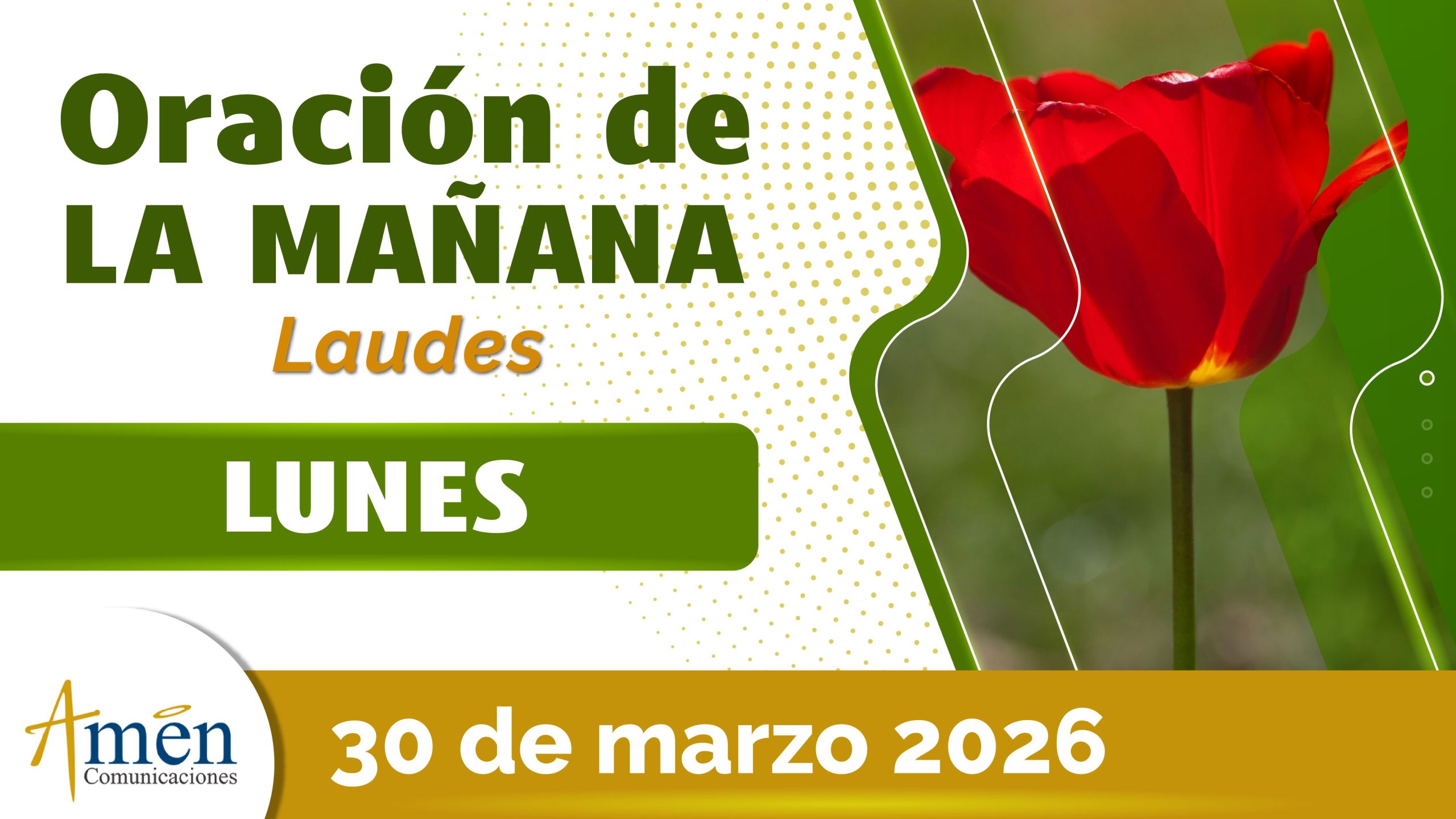 <span class="jet-smart-filters-seo-rules-title"></span>