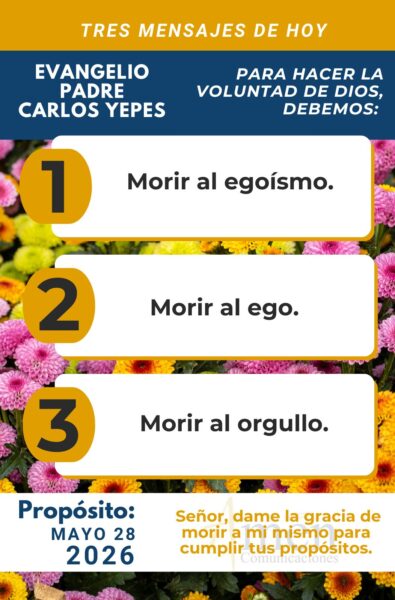 Padre carlos Yepes - evangelio de hoy - 28 de mayo 2026