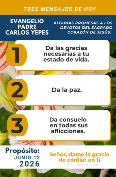 Padre carlos Yepes - evangelio de hoy - 12 de junio 2026