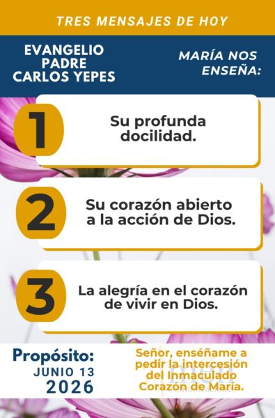 Padre carlos Yepes - evangelio de hoy - 13 de junio 2026