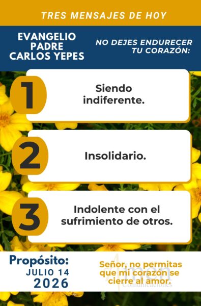 Evangelio de hoy - 14 de julio 2026 - amen comunicaciones