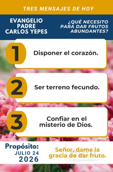 Evangelio de hoy - 24 de julio 2026 - amen comunicaciones